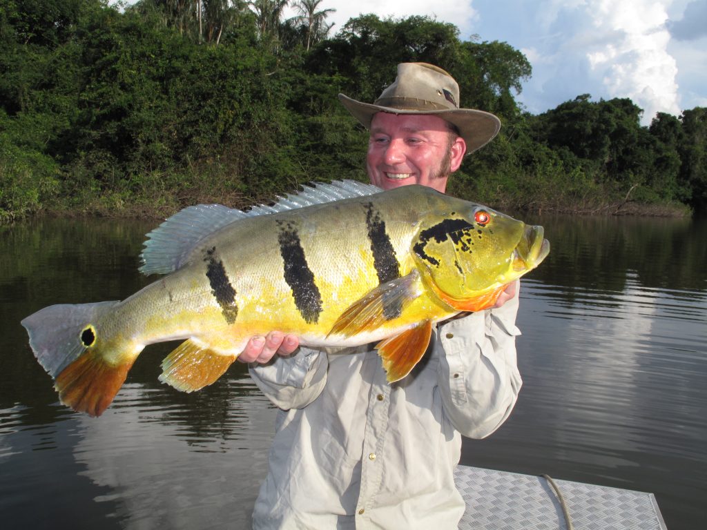 Juul Steyn met peacock bass