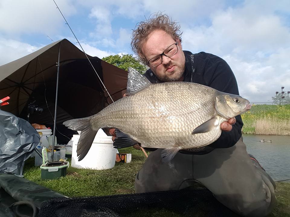 grote brasem in het voorjaar