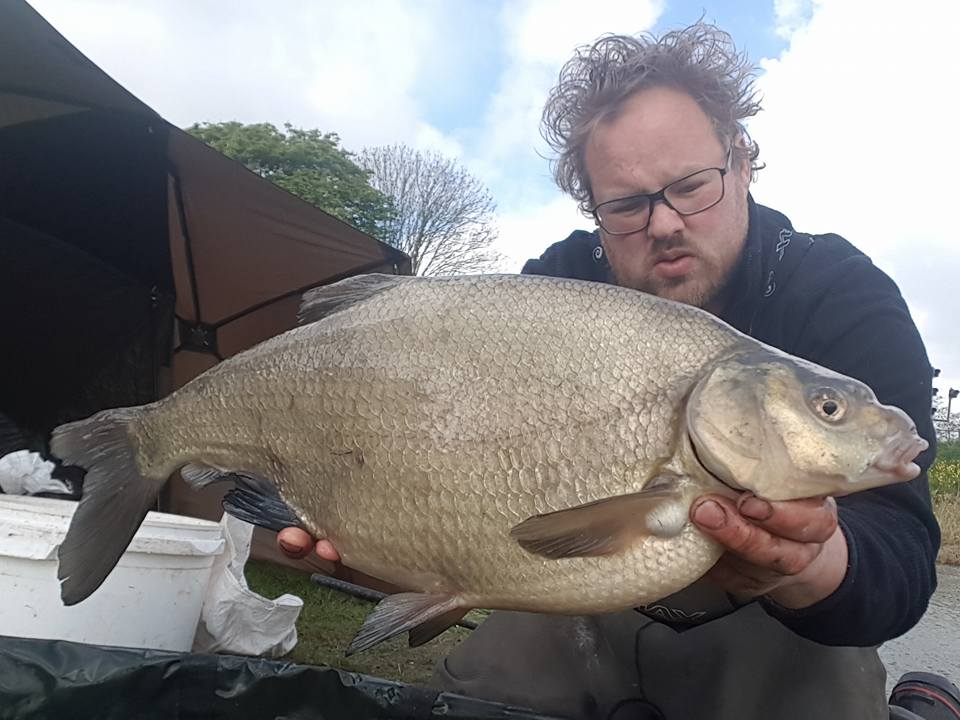 grote brasem in het voorjaar