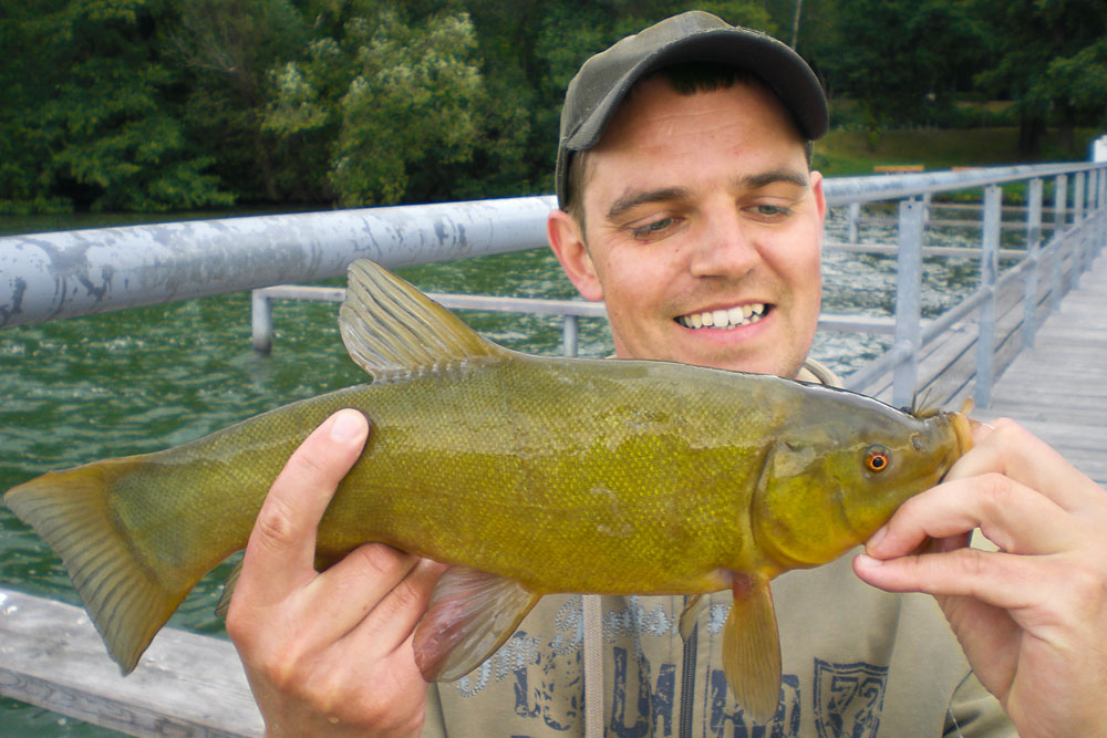 Zeelt. Marco lokte deze 40+ cm zeelt met een skirted jig uit een plantenbed.