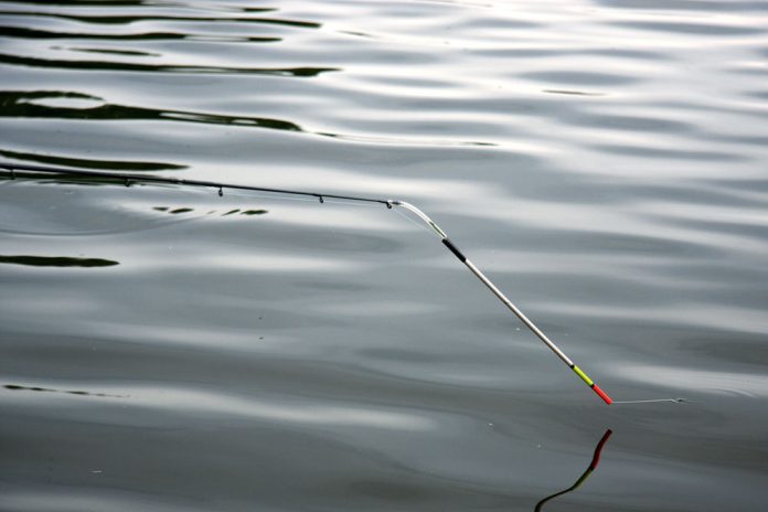 De swingtip is wellicht de meest gevoelige beetregistratie voor wie op stilstaand water de witvis op de bodem belaagt.