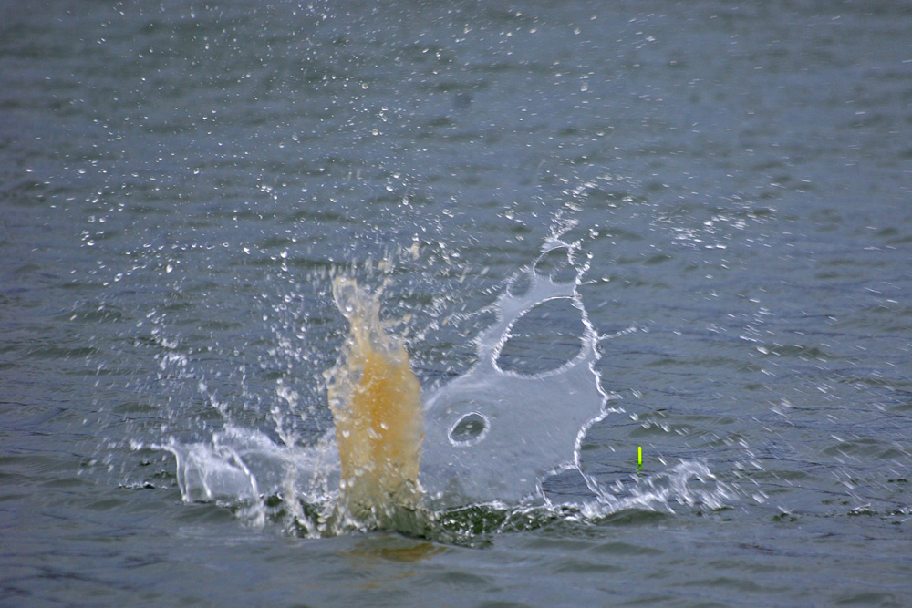 Tobias schiet met een katapult ongeveer tien ballen in het water.