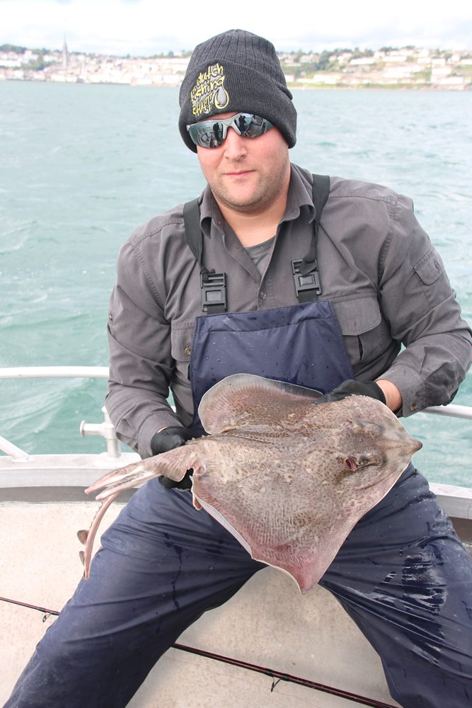 Thornback ray uit de haven van Cobh.