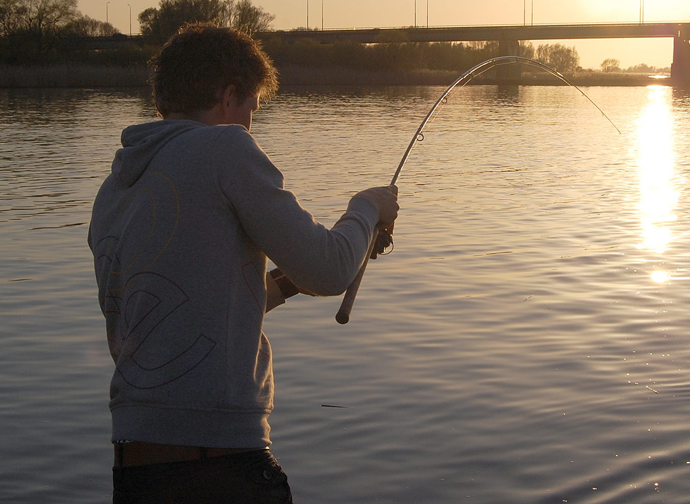 winde korstvissen rivier