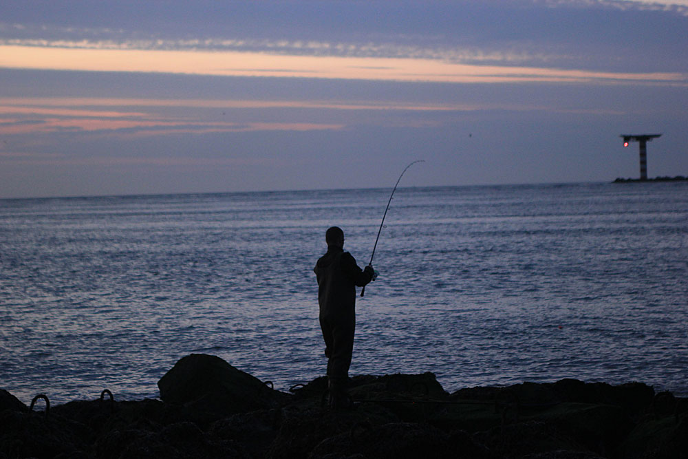 dobberen op zeebaars