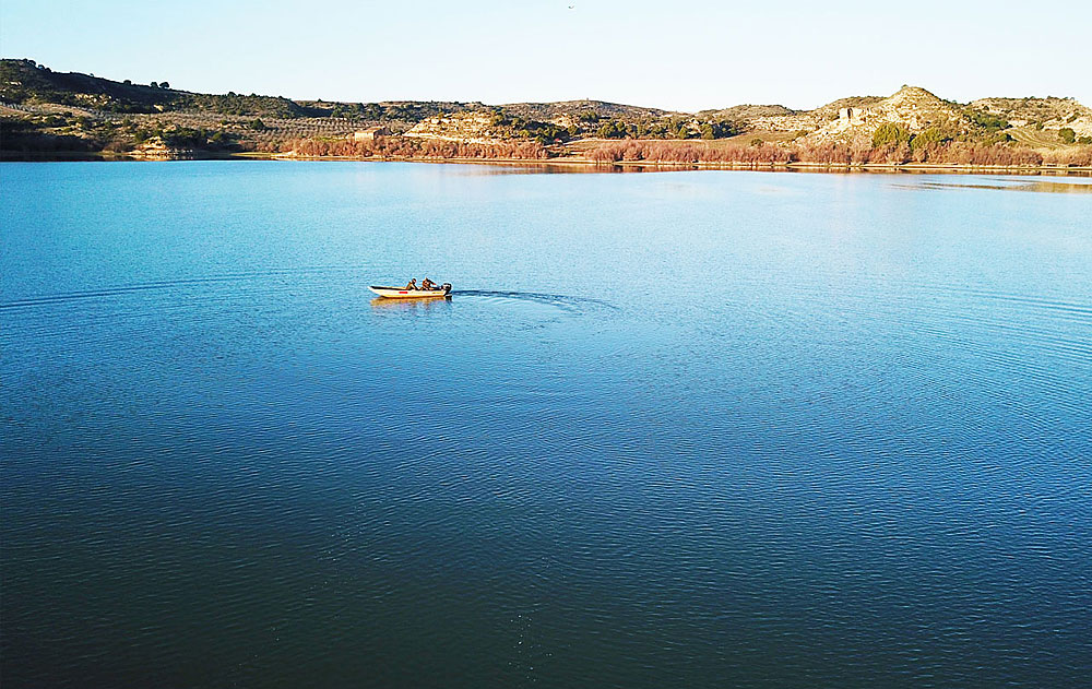 Meerval Ebro