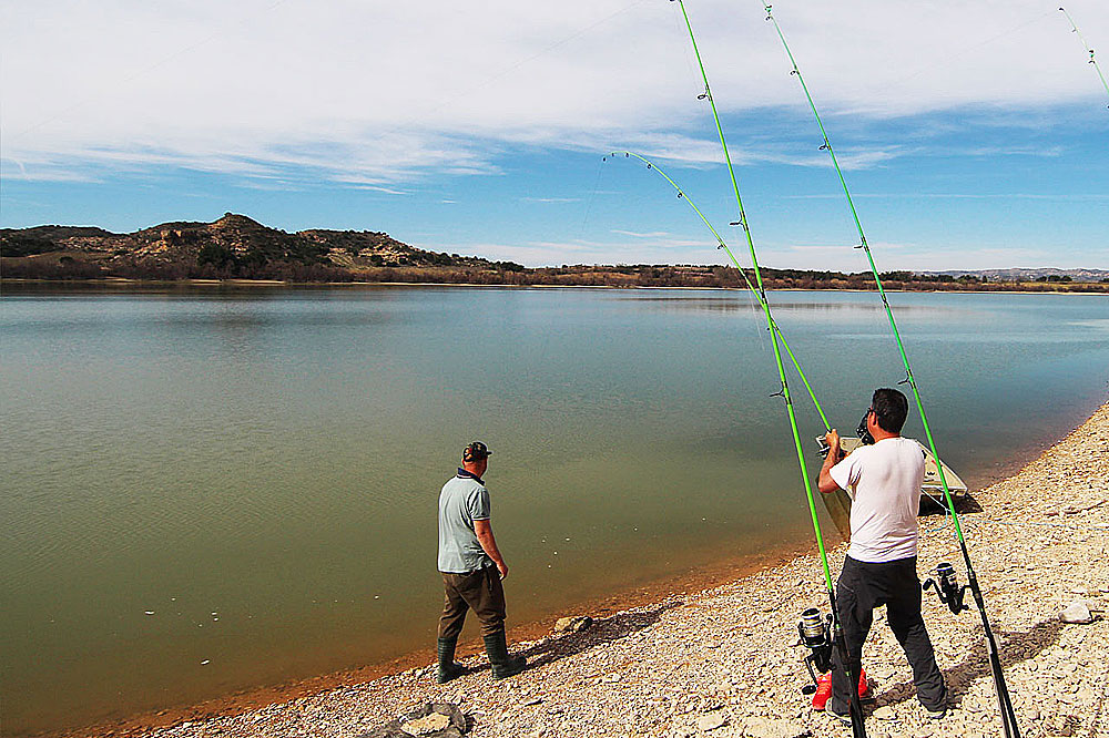 Meerval Ebro