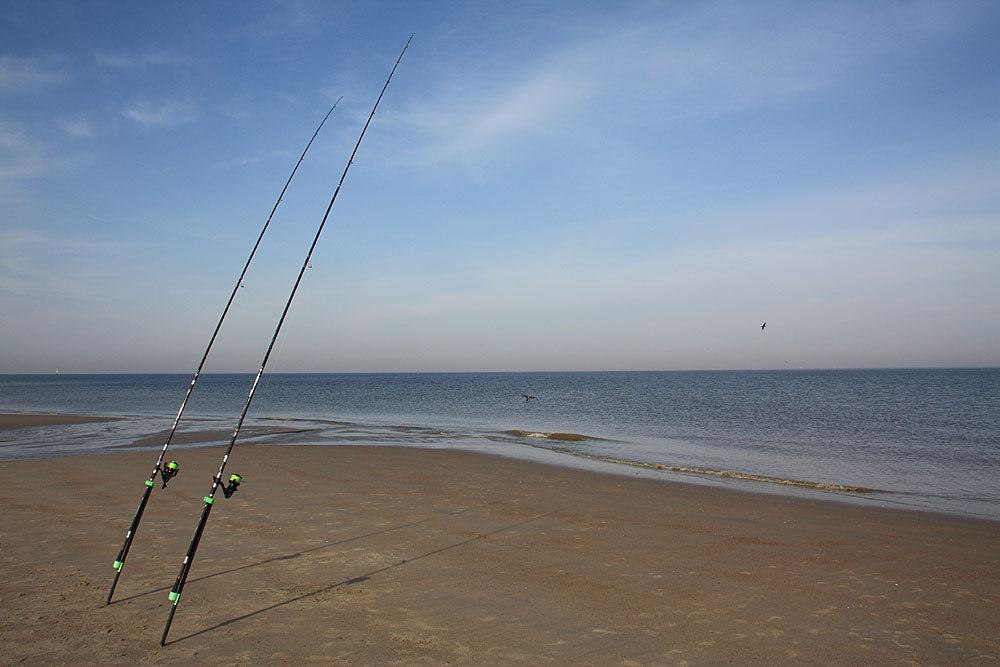 Stekken op het strand