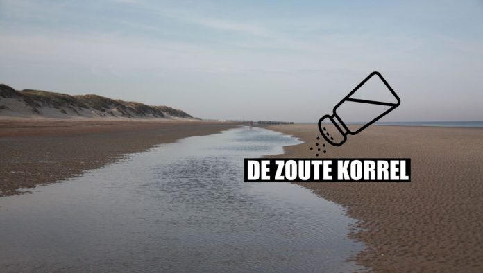 Stekken op het strand