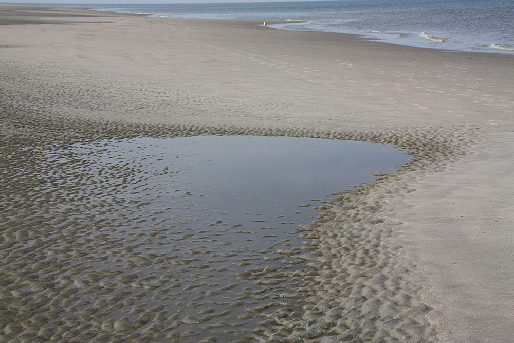 Stekken op het strand