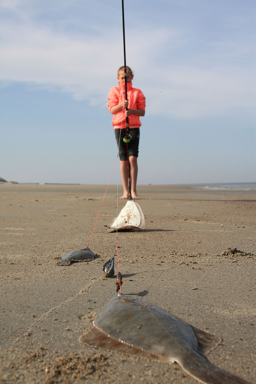 stekken op het strand