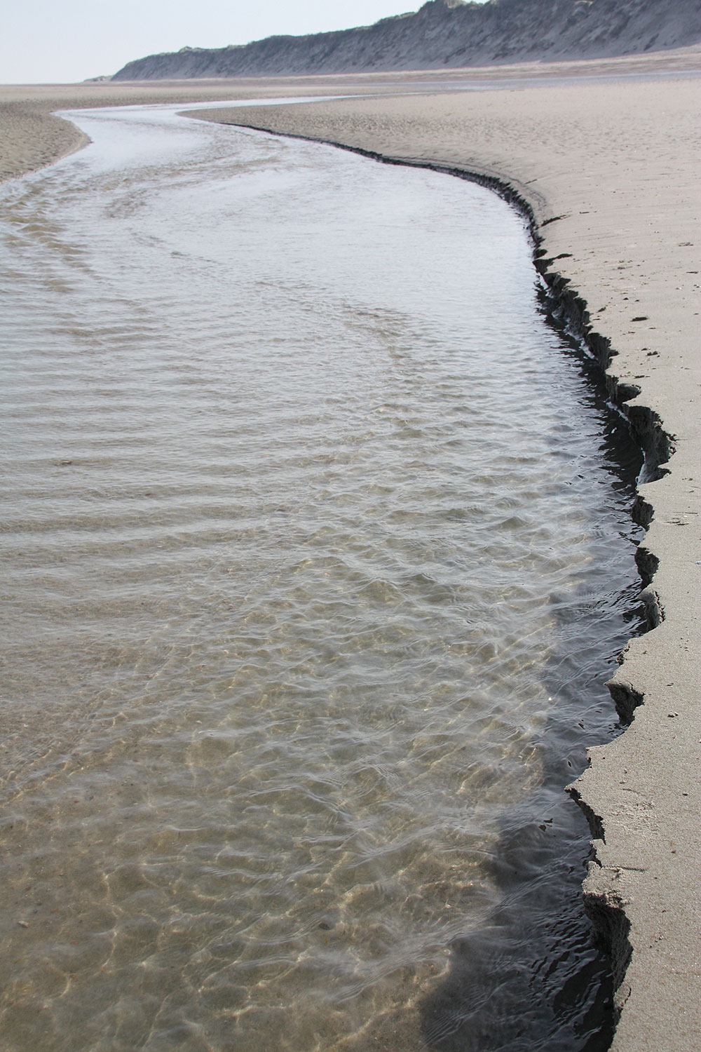 Stekken op het strand