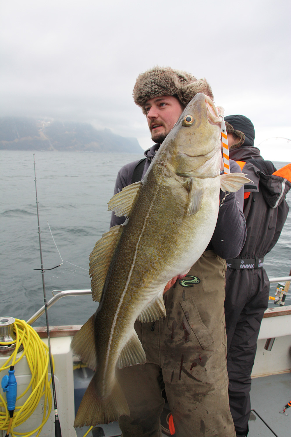 skrei Alesund