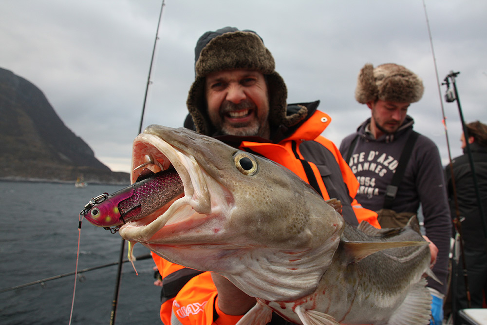 skrei Alesund