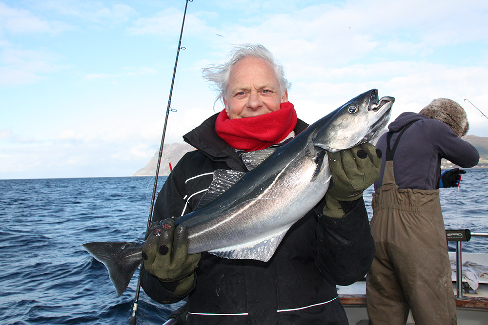 skrei Alesund