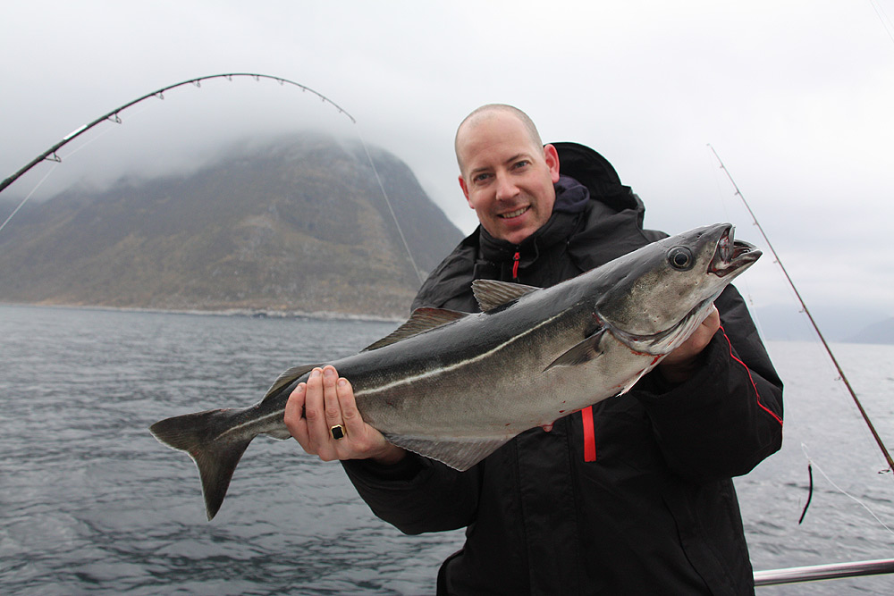 skrei Alesund