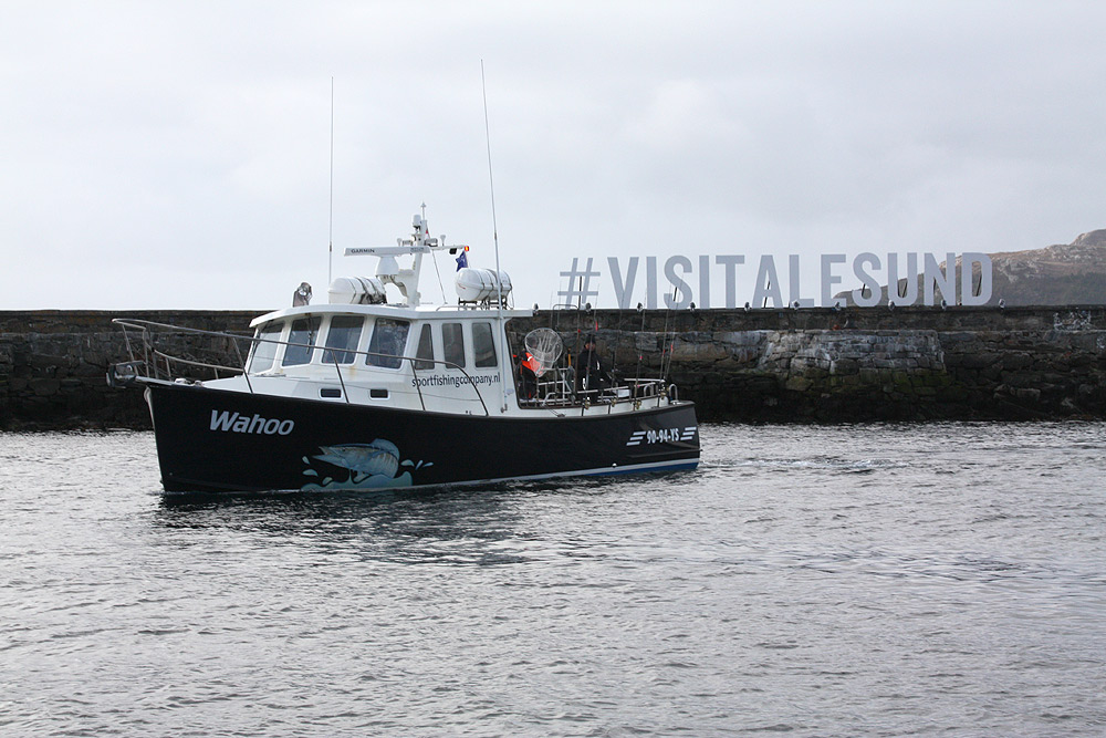 skrei Alesund