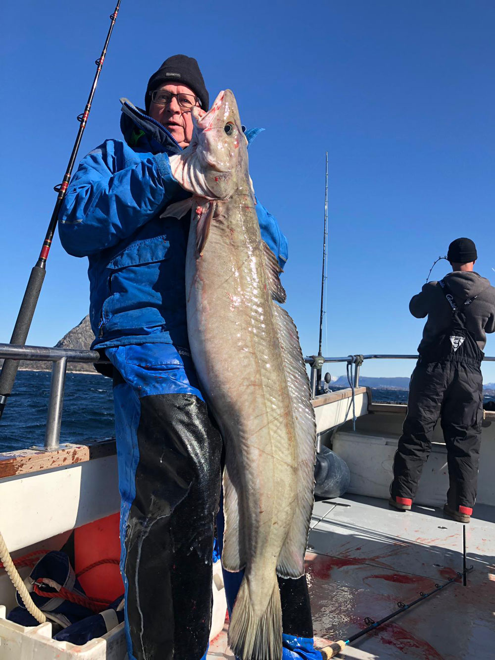 skrei Alesund