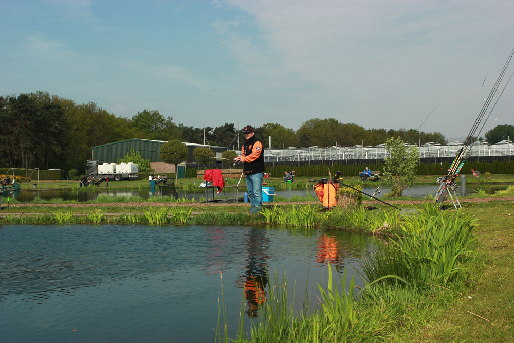 zomerse foreltechniek