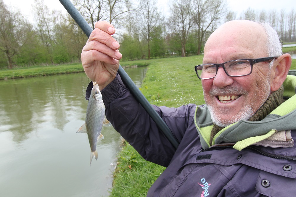 Voorn vissen in voorjaar