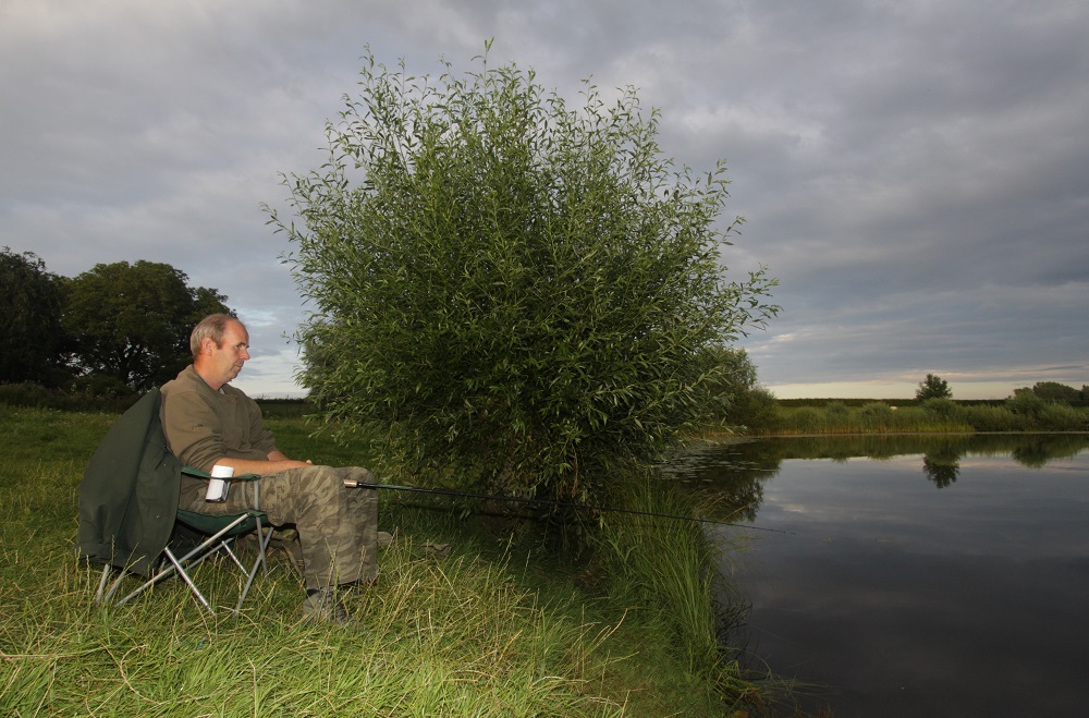 Voorn vissen in zomer