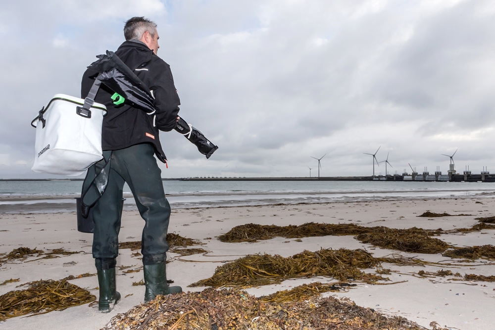 strandfeederen