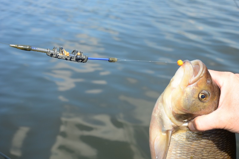 Methodvissen op openbaar water