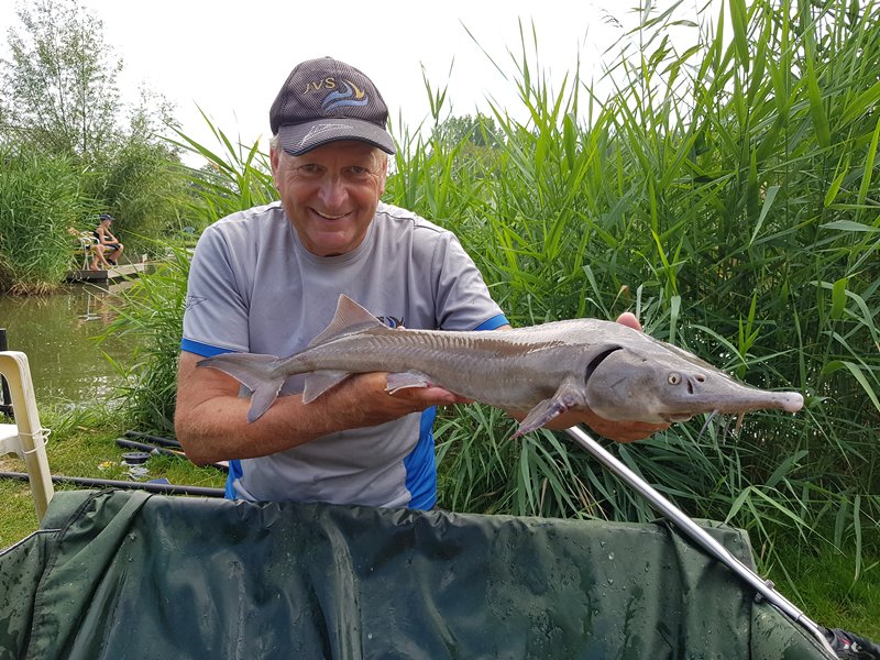 Vissen op steur Toms creek