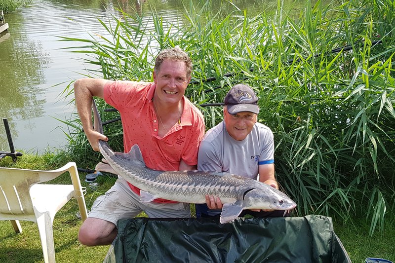 Steur vangen op Toms Creek