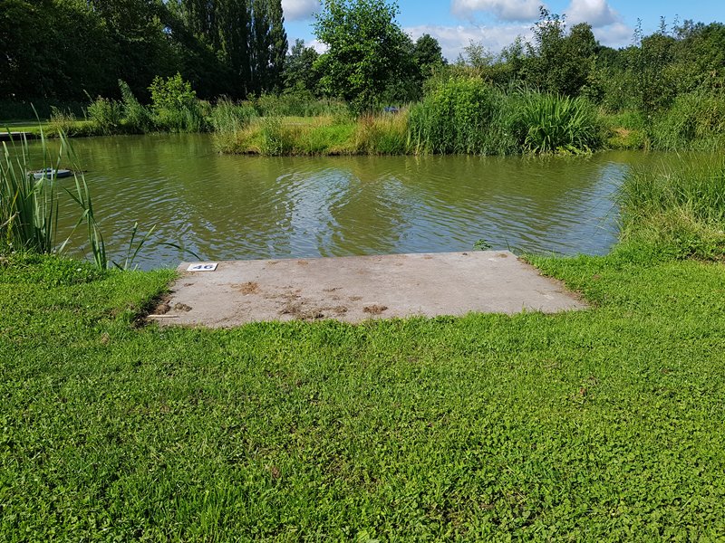 Vissen op snake lake berenkuil