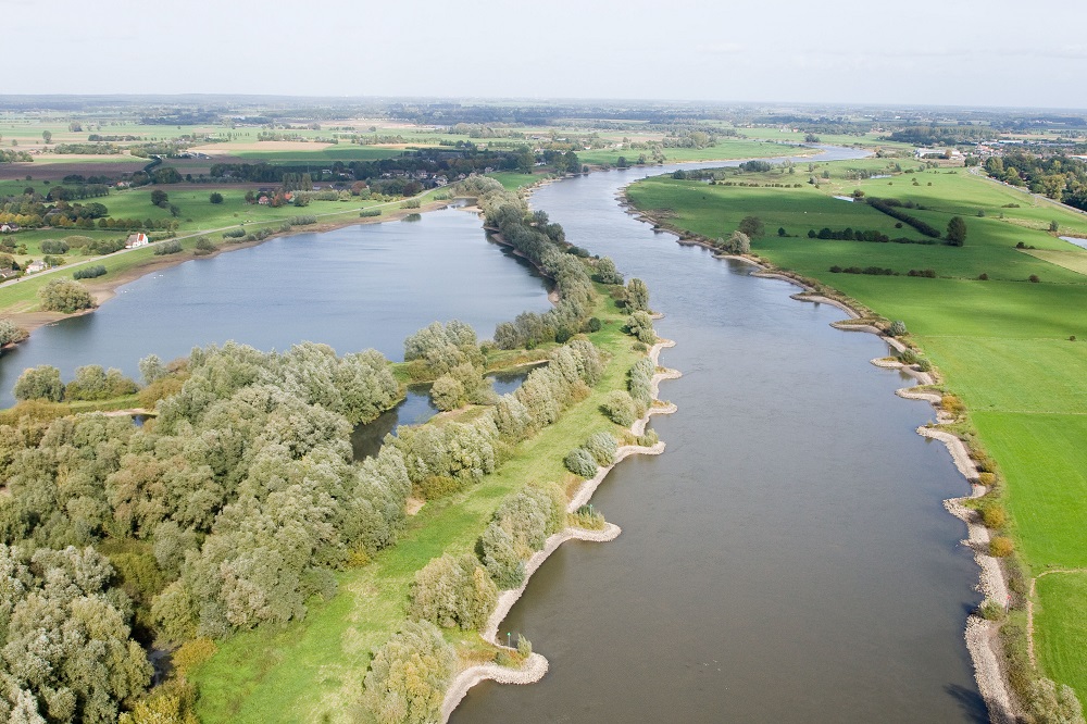 Witvissen in de herfst Gelderse IJssel