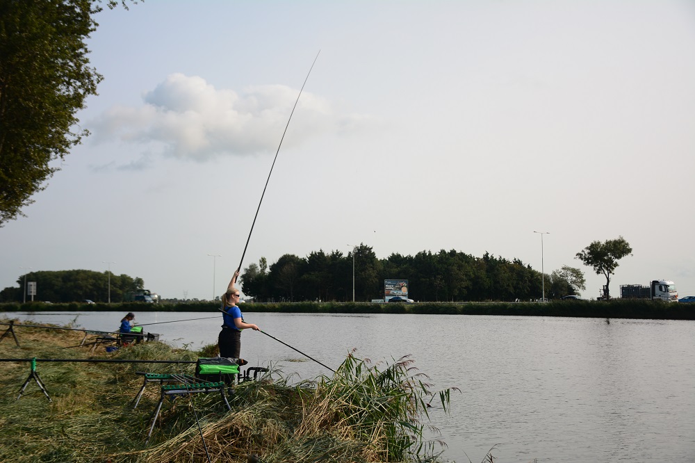 Witvissen in de herfst Noorhollands Kanaal