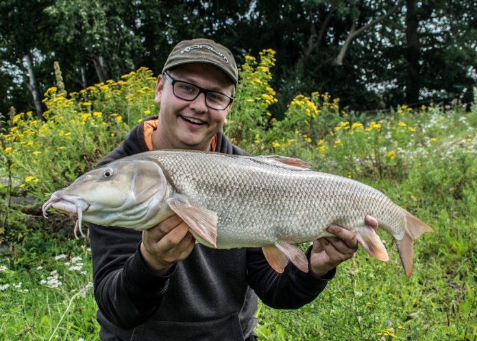 IJssel record barbeel