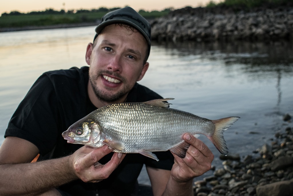 IJssel record barbeel