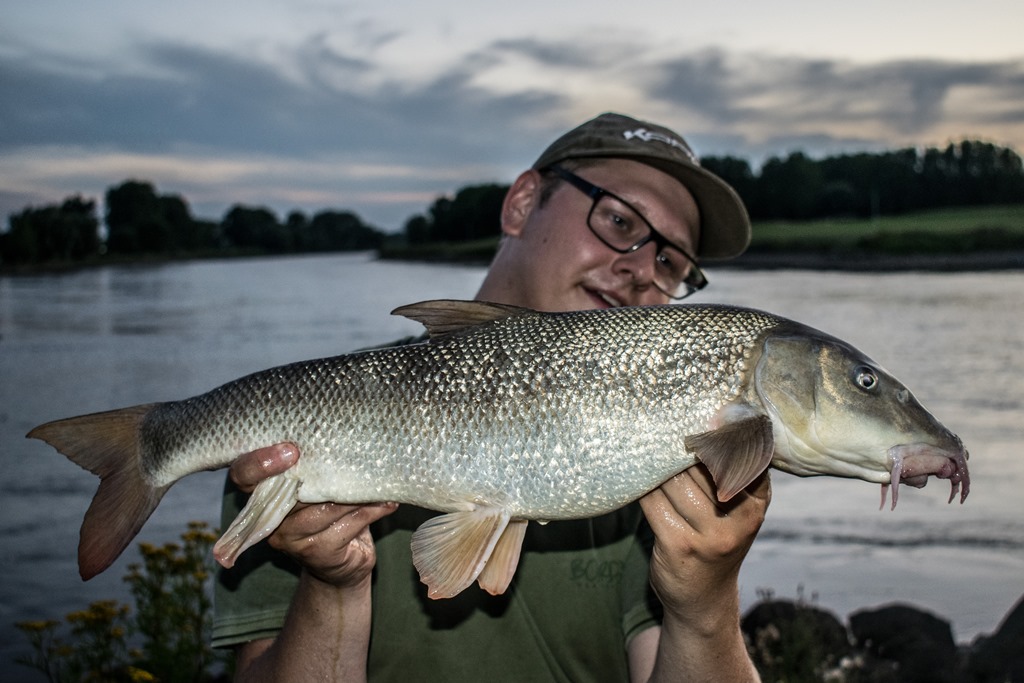 IJssel record barbeel