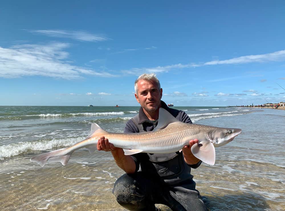 Wie ging er met Martijn Dekkers mee voor een workshop haaienvissen vanaf het strand?