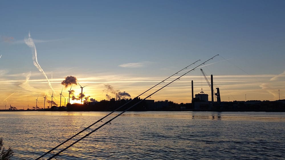 De lengte van de zijlijn maakt ook heel veel uit, hoe het aangeboden visaas zich op en rond de zeebodem beweegt.