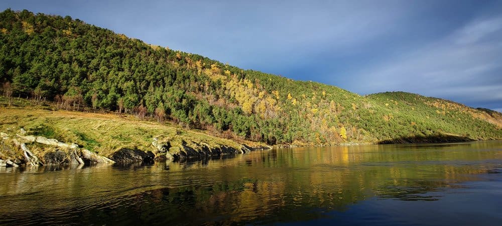 Zonnige herfstkleuren.