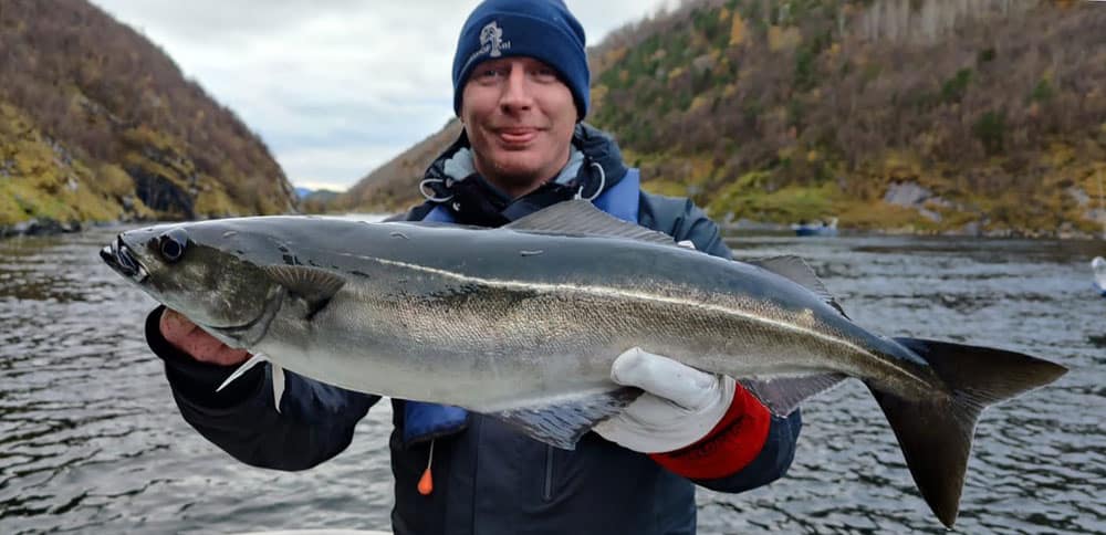 Diep in het fjord.