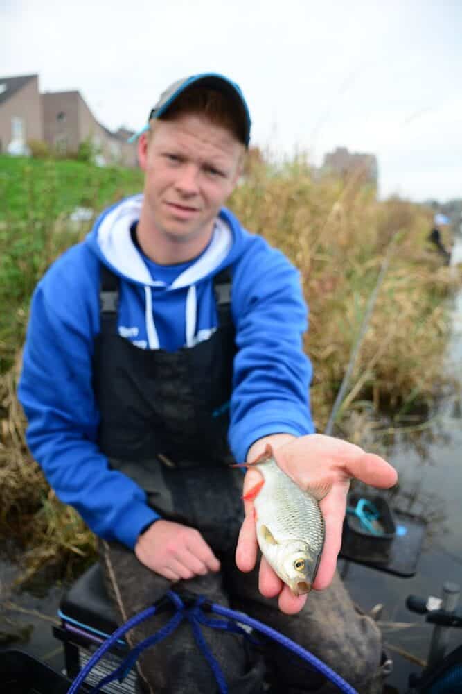 Tussen de blankvoorns en roofbleitjes ook nog een onvervalste ruisvoorn voor de Limburgse topvisser.