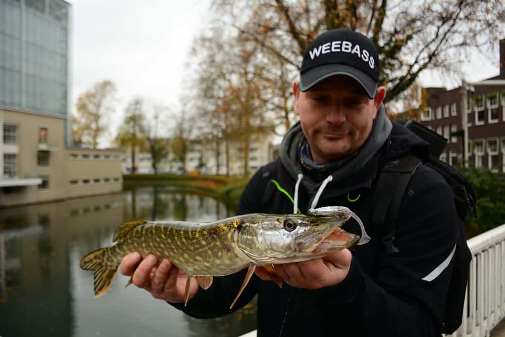 Snoekje van bij de Stadsschouwburgsingel stek geplukt.