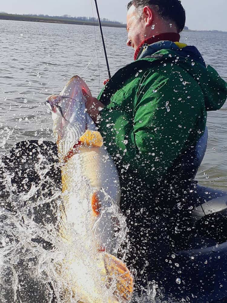 Vliegvissen op snoek is geweldig en vanuit de bellyboot nog mooier!