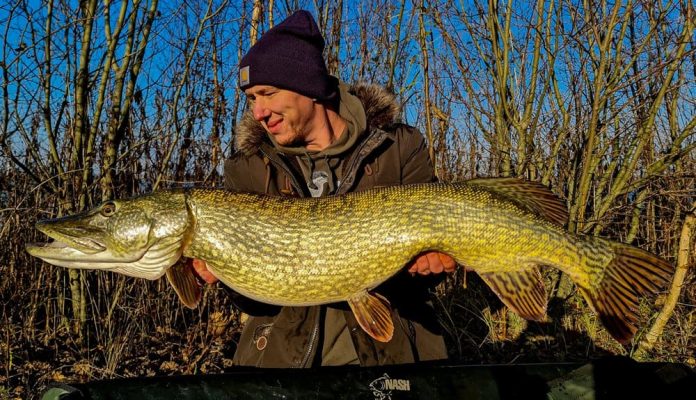 Sebastiaan met een fraaie wintersnoek: genieten!