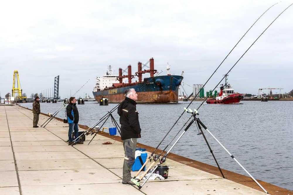 Zeevissers zijn hier vooral te vinden op de eerste kilometers van de sluis die het kanaal afsluit van de Westerschelde.