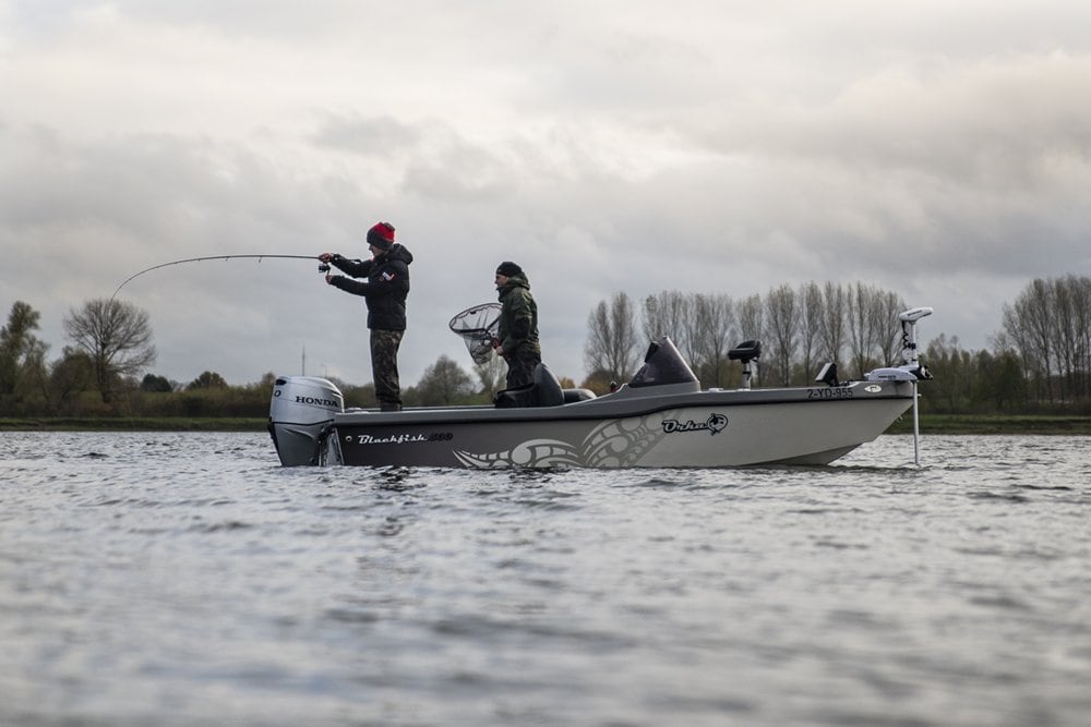 Door de vele kantvissers trekt baars vaak naar het diepe, waar de boot meer mogelijkheden biedt.