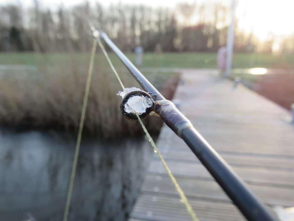 Vrieskou en een dyneema lijn is geen goed huwelijk.