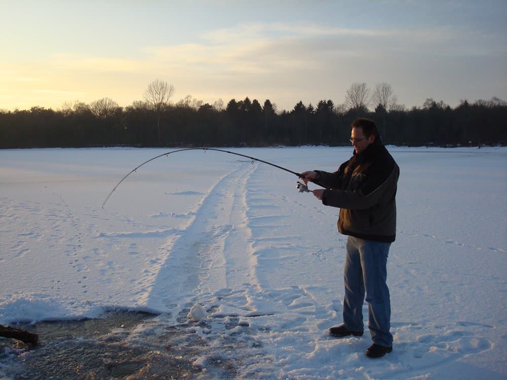 IJsvissen op forel; geen plaatje uit Zweden of Finland, maar ‘gewoon’ op een forelvijver in het Drentse Baggelhuizen.