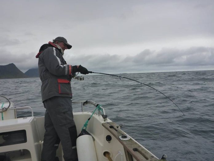 De Finn-Nor Valhall 2.0 II Traveller 2.20 m in actie… een perfecte spinhengel voor de visserij in Noorwegen met shads en loodkoppen van 85-140 gram of pilkers tot 200 gram. Foto: Henk Kippersluis