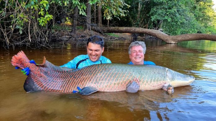 Visreis.nl is nog op zoek naar een paar vissende wereldreizigers om mee te gaan naar Bolivia om gericht te vissen op arapaima!