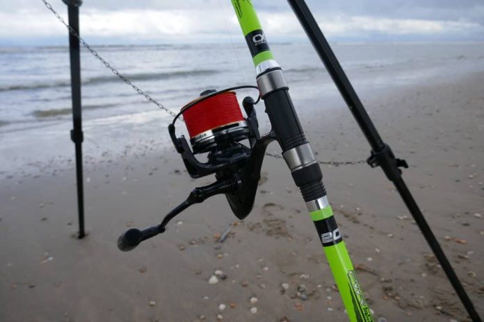 Elk voorjaar weer zijn er een aantal weken dat je heel veel botten kunt vangen vanaf het strand.